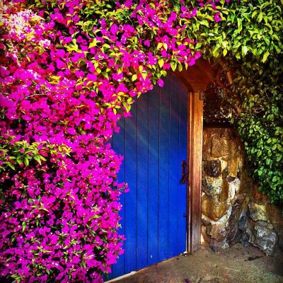 beautiful-doors-21.jpg